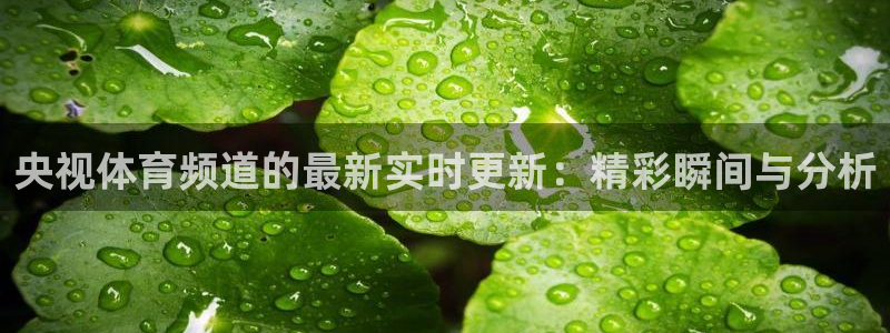 河豚体育
