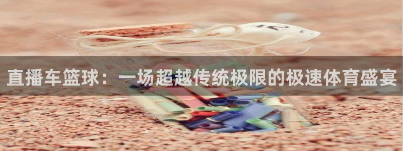 河豚体育直播
