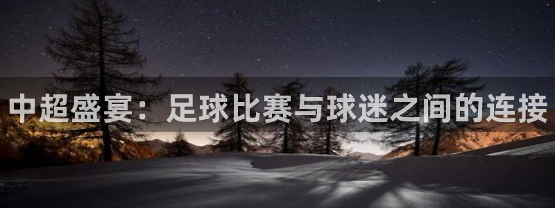 河豚在线：中超盛宴：足球比赛与球迷之间的连接