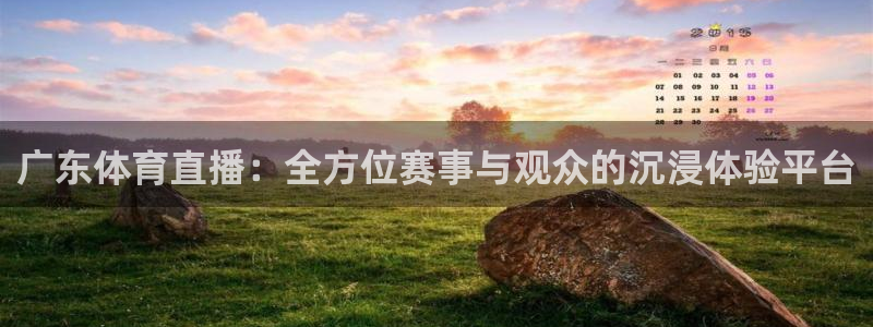 河豚直播体育直播：广东体育直播：全方位赛事与观众的沉浸体验平台