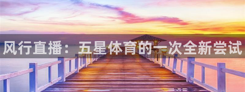 河豚视频：风行直播：五星体育的一次全新尝试