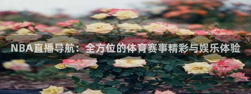 河豚搞笑：NBA直播导航：全方位的体育赛事精彩与娱乐体验