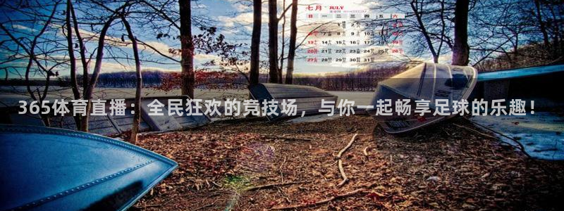 河豚体育直播免费下载：365体育直播：全民狂欢的竞技场，与你一起畅享足球的乐趣！