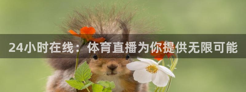 河豚tv直播：24小时在线：体育直播为你提供无限可能