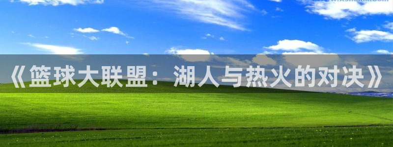 河豚nba直播比赛